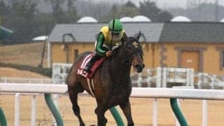 【JRA・WIN5】今週のWIN5は的中3360票、配当17万710円