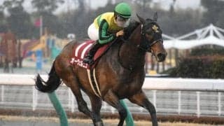 【東海S結果】オーヴェルニュが3連勝で重賞初制覇
