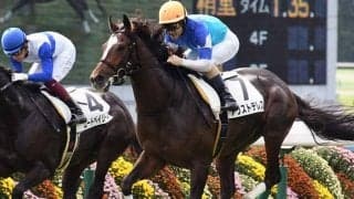 【AJCC・馬体重】アリストテレスは478kg(+4)、サトノフラッグは500kg(+10)