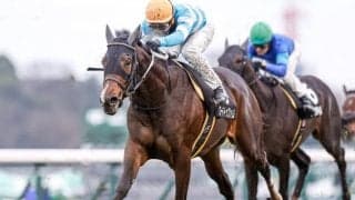 【若竹賞結果】ロードトゥフェイムが突き抜け快勝