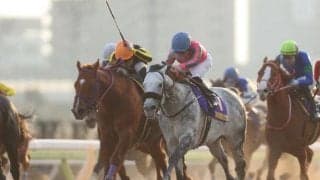 【川崎記念枠順確定】オメガパフュームは7枠8番、ロードブレスは8枠9番