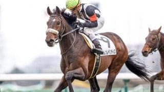 【中山6R新馬戦結果】3番人気カレンレベンティスが差し切りV