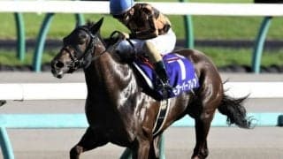 【シルクロードS見どころ】高松宮記念覇者モズスーパーフレアが始動