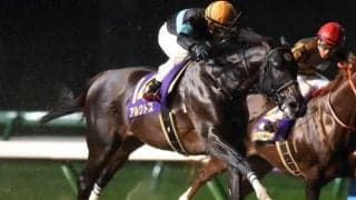 【根岸S見どころ】南部杯覇者アルクトスが巻き返しを狙う