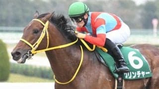 【佐賀・佐賀記念出走予定馬】地方競馬初出走クリンチャー、9歳馬ウインユニファイドなど