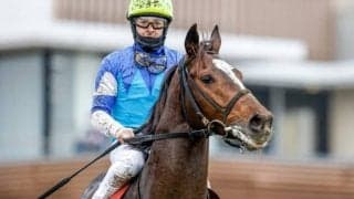 【AJCC】売上は67億1917万9400円で前年比微増　アリストテレス＆ルメール騎手がV