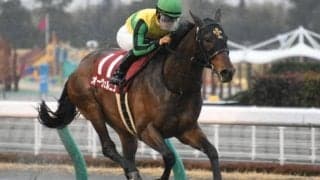 【東海S】売上は47億6928万8600円で昨年から減少　オーヴェルニュ重賞初V