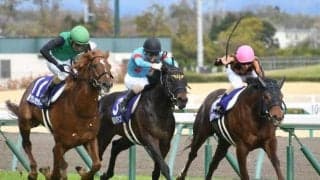 【シルクロードSハンデ確定】モズスーパーフレアは56.5kg、ラウダシオンは57.0kg