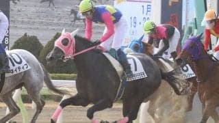 【地方競馬】スモモモモモモモモの走りっぷりが一変！