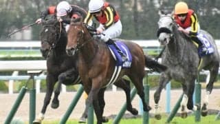 【根岸S】フルゲート16頭にステルヴィオなど27頭の登録/出走馬決定順
