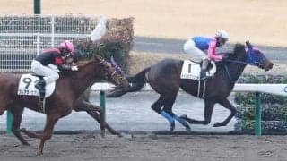 【新馬/中京3R】アイルハヴアナザー産駒 メイショウクシナダがデビューV