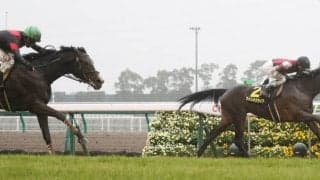 【若駒S】紅一点ウインアグライアがV