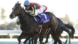 【根岸S展望】フェブラリーSの前哨戦、あの馬の巻き返しを期待