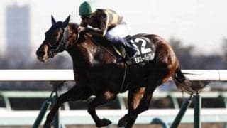 【シルクロードS予想オッズ】GI馬モズスーパーフレア、ラウダシオンらが人気の中心