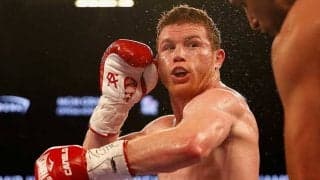 「この左フックはとても綺麗」　PFP王者カネロの“強烈サンドバッグ打ち”を海外称賛