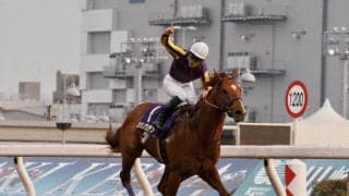 【川崎記念】カジノフォンテンが中央勢撃破！