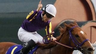 【川崎記念】張田「馬の力を信じて」カジノフォンテンが中央勢撃破