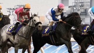 【川崎記念】ルメール「ペースが…」ロードブレスは6着