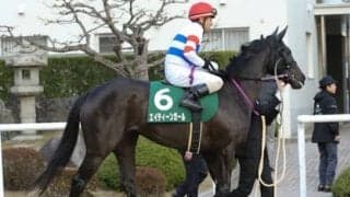 荒れ続けるシルクロードＳ。穴党記者ゆえ発見できた高配当の使者４頭