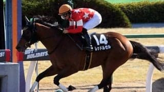 【根岸S・馬体重】レッドルゼルは494kg(+2)、タイムフライヤーは486kg(+4)