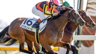 【東京6R新馬戦結果】フィエールマンの全妹エクランドールがV