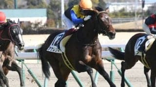 【中京6R新馬戦結果】アナレンマが人気に応えて完勝