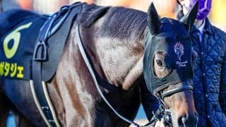 【次走】ポタジェは金鯱賞を視野に、白富士Sで4連勝