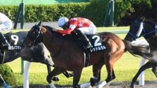 【本日の注目ポイント】東京で根岸S、中京でシルクロードS