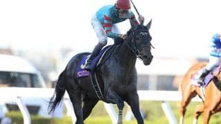 【根岸S予想】攻略のカギはローテ？ 距離経験？ 上がり？ 例年の傾向が通用しない一戦で狙いたいのは!?/JRAレース展望