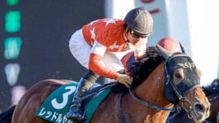 【勝負の分かれ目 根岸S】本番を見据えた川田騎手の好騎乗でレッドルゼルが快勝