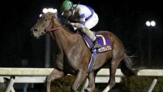 【高知・黒潮スプリンターズC結果】12歳サクラレグナムが人気に応えて快勝