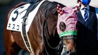 【JRA】“鬼滅の刃”彷彿のメンコでネズコがデビュー、初戦は8着