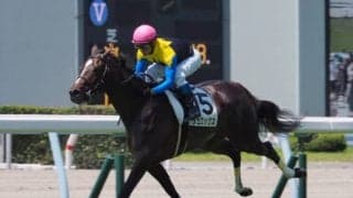 【東京新聞杯 登録馬】ヴェロックスなど18頭