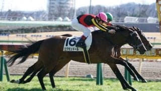 【新馬/東京6R】フィエールマン全妹、エクランドールがデビューV