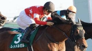 【根岸S】川田「良い脚が使えた」レッドルゼルが重賞初制覇！