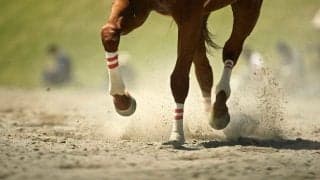 宙に浮いた海外ジョッキー、落馬危機回避した決定的瞬間に英衝撃「重力を無視！」