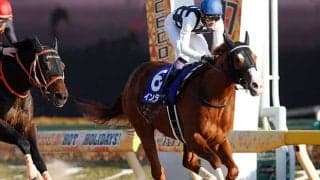 【フェブラリーS想定】一昨年覇者インティ、前哨戦制したレッドルゼル・オーヴェルニュなど