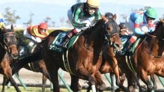 シヴァージは高松宮記念へ　前哨戦・シルクロードSの覇者