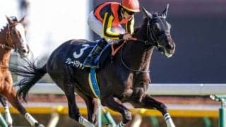 デビュー2連勝の良血グレートマジシャンは毎日杯へ　大目標は日本ダービーに