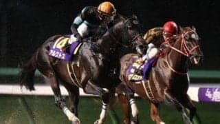 【次走】アルクトスはフェブラリーSへ 昨年の南部杯を日本レコードで優勝