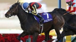 【次走】根岸S3着のタイムフライヤーはフェブラリーSへ