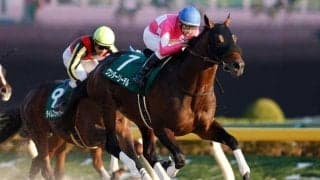 【次走】根岸S2着のワンダーリーデルはフェブラリーSへ