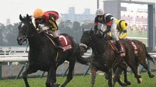 【京都記念想定】ダービー馬ワグネリアン、オークス馬ラヴズオンリーユーなど