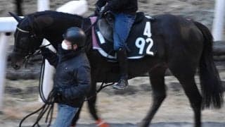 シャフリヤール、共同通信杯1週前追い切り速報/栗東トレセンニュース