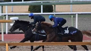 ステラヴェローチェ、共同通信杯1週前追い切り速報/栗東トレセンニュース