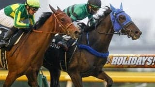 【東京新聞杯】サムシングジャストは回避して京都牝馬Sへ