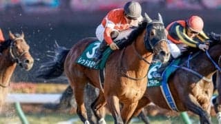 根岸S勝利のレッドルゼルは川田騎手とのコンビでフェブラリーSへ