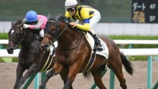 【東京新聞杯】ヴァンドギャルド　福永祐一騎手とのコンビで重賞2勝目を狙う