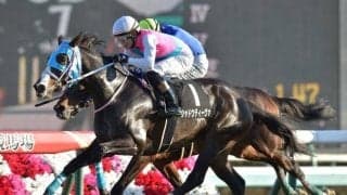 【東京新聞杯展望】出世に繋がるマイル重賞、あの馬の巻き返しに期待