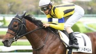 【東京新聞杯】ヴァンドギャルドは福永祐一騎手、トリプルエースはルメール騎手/想定騎手